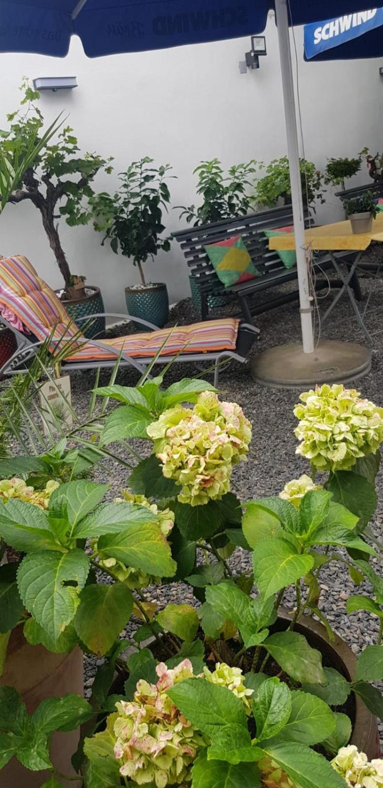 Hotel Adriana Aschaffenburg Bagian luar foto